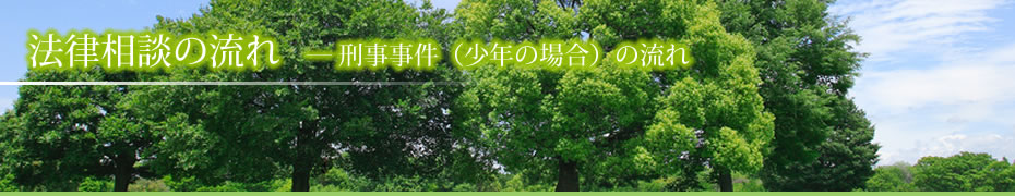 刑事事件（少年の場合）の流れ