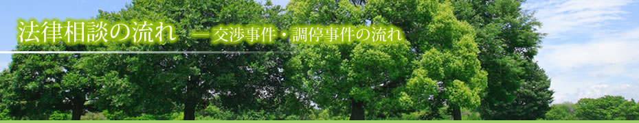 交渉事件・調停事件の流れ